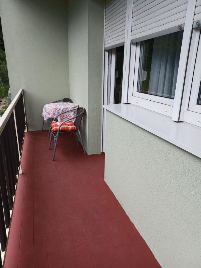 Apartamento Apartmant Sandra - Big Terace And Free Parking Karlovac Exterior foto